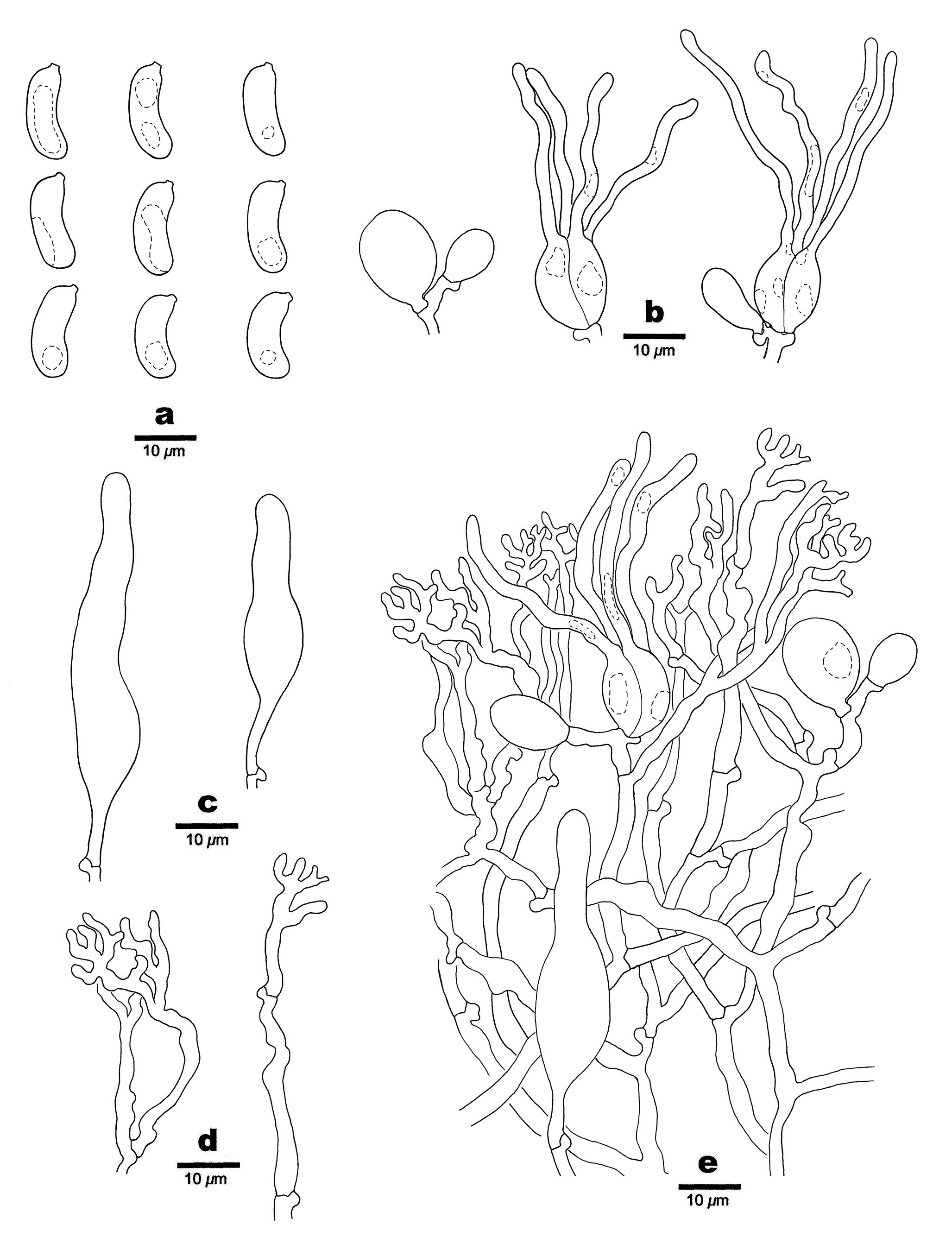 Figure 23